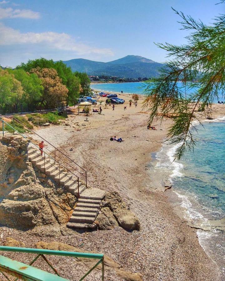 House,1000M From Beach Lagonisi Exterior photo