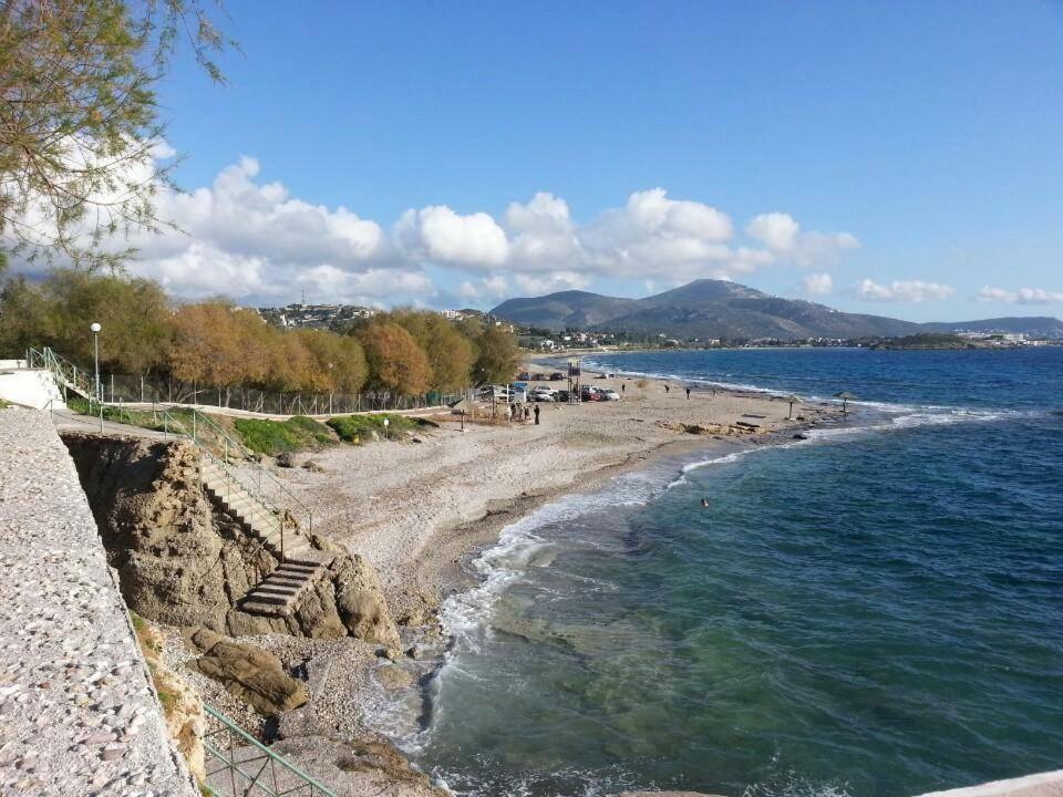 House,1000M From Beach Lagonisi Exterior photo
